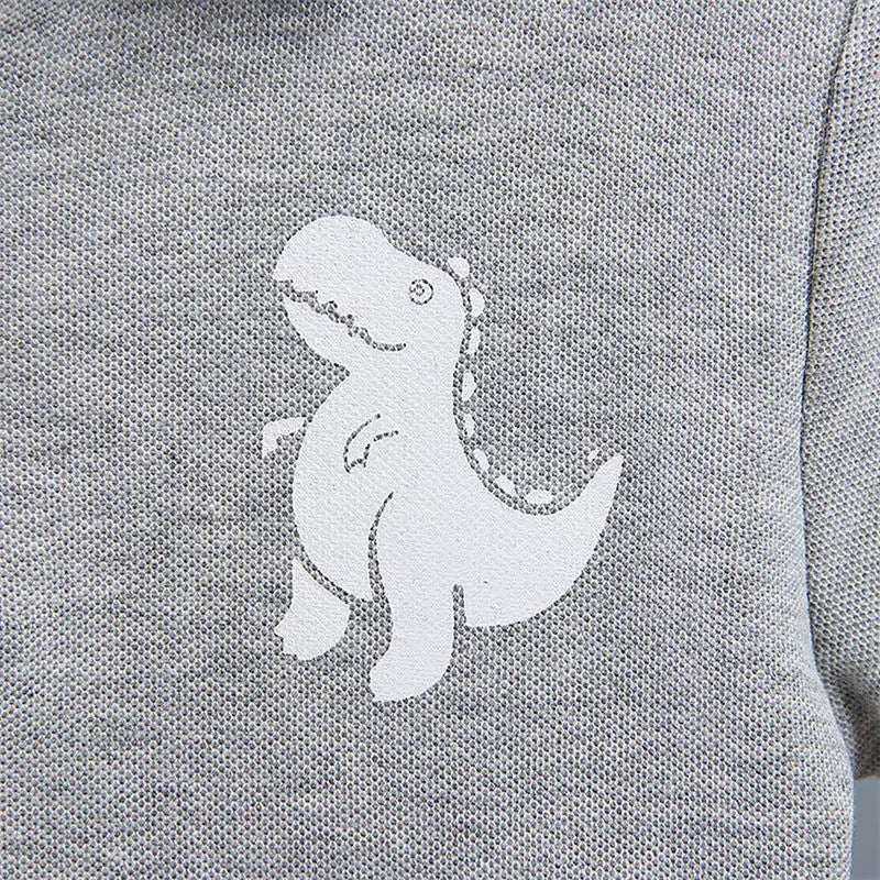 Boys Dinosaur T-Shirt & Shorts Set