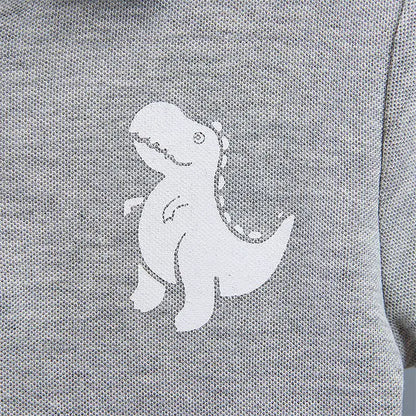 Boys Dinosaur T-Shirt & Shorts Set